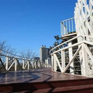 聚脲-天桥喷涂案例